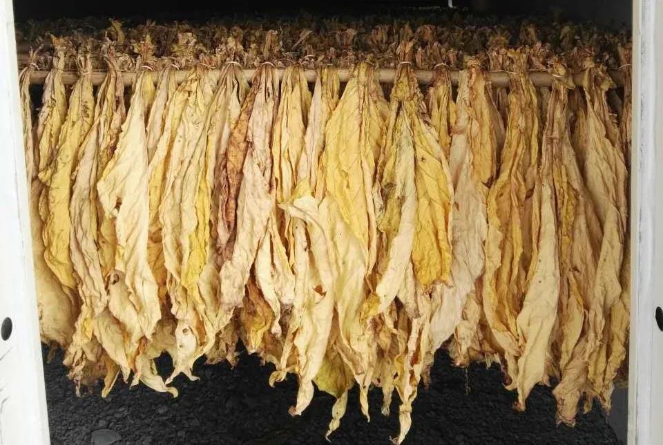 1633679552209591.jpg 微信圖片_20211008153931.jpg